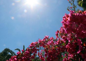 Καιρός: Ηλιοφάνεια και άνοδος της θερμοκρασίας