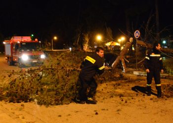 «Ιπτάμενα» δέντρα και αντικείμενα σε Αττική και Βόρεια Ελλάδα