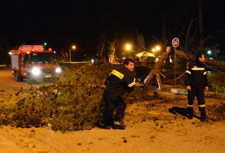 «Ιπτάμενα» δέντρα και αντικείμενα σε Αττική και Βόρεια Ελλάδα