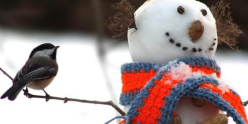 Σε ποιες περιοχές συνεχίζονται οι χιονοπτώσεις και σήμερα - Αναλυτική πρόγνωση