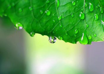 Ο καιρός σήμερα Τετάρτη 20 Μαρτίου: Τοπικές βροχές και μικρή πτώση θερμοκρασίας