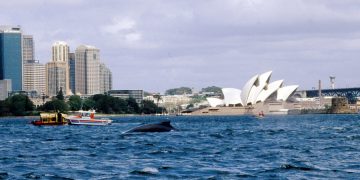 В Австралии начались акции в поддержку Греции