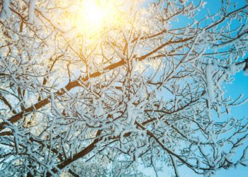 Μικρή άνοδος θερμοκρασίας σήμερα και τοπικές βροχές στα δυτικά