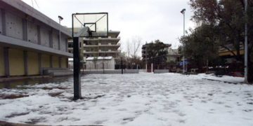 Ξεκίνησε η δωρεάν διανομή φρούτων, λαχανικών και γάλακτος σε 800 σχολεία