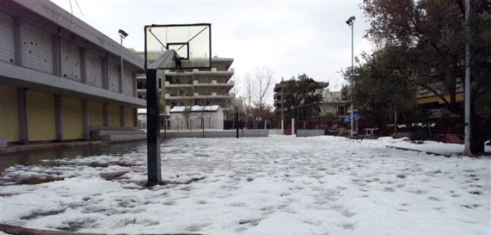 Ξεκίνησε η δωρεάν διανομή φρούτων, λαχανικών και γάλακτος σε 800 σχολεία