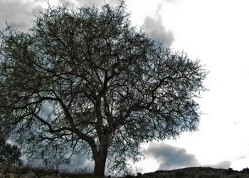 Μάρτης… γδάρτης: Βροχές, καταιγίδες και χιόνια σε όλη τη χώρα