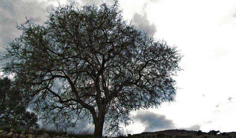 Μάρτης… γδάρτης: Βροχές, καταιγίδες και χιόνια σε όλη τη χώρα