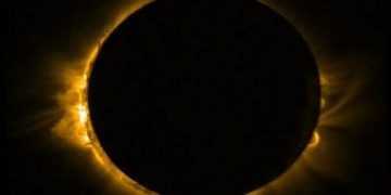 Σύροι πρόσφυγες στη Γερμανία έσωσαν τη ζωή νεοναζί!