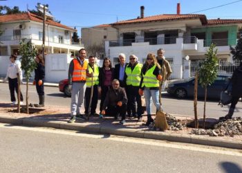 Όλο το Ωραιόκαστρο γέμισε με παραδοσιακά δέντρα του Πόντου! (φωτο)