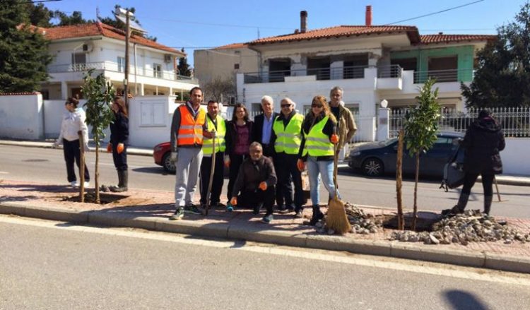 Όλο το Ωραιόκαστρο γέμισε με παραδοσιακά δέντρα του Πόντου! (φωτο)