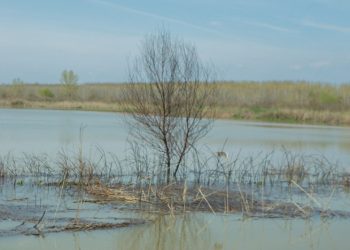 Οχυρώνονται οι Σέρρες από τα ορμητικά νερά του Στρυμόνα (φωτο)