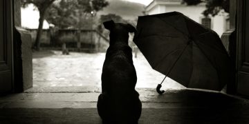 Ο καιρός σήμερα: Νεφώσεις, βροχές και πιθανότητα για χαλάζι