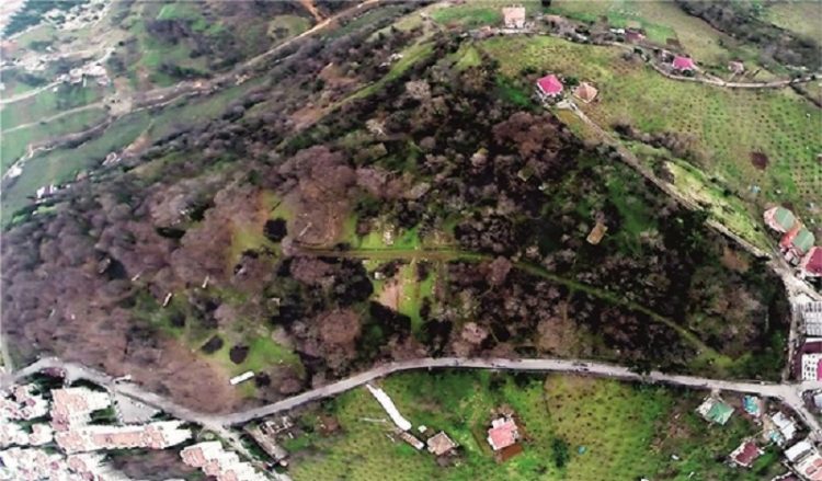Βοτανικό κήπο θα αποκτήσει η Τραπεζούντα