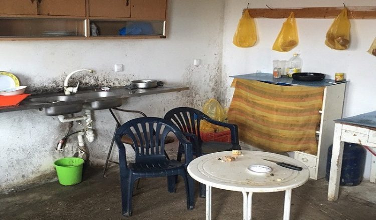 Εικόνες ντροπής από το κολαστήριο του πτηνοτροφείου στη Χαλανδρίτσα