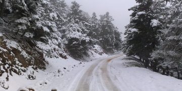 Στα λευκά ξανά οι Σέρρες