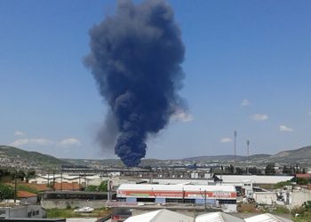 Πυρκαγιά στο Αγρίδι Ηλείας