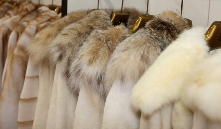 Τους Ρώσους περιμένουν στην Καστοριά ενόψει της 40ής Διεθνούς Έκθεσης Γούνας