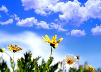 Ο καιρός την Πρωτομαγιά