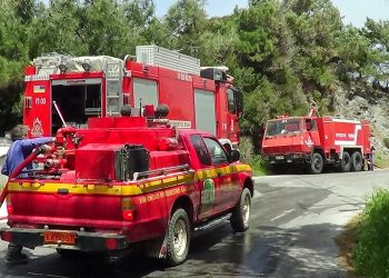 Σάμος: Στάχτη έγιναν 290 στρέμματα δασικής έκτασης