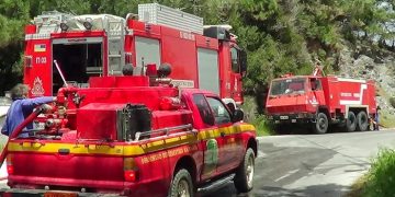 Σάμος: Στάχτη έγιναν 290 στρέμματα δασικής έκτασης