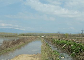 Στο έλεος του Στρυμόνα αμέτρητες καλλιεργήσιμες εκτάσεις