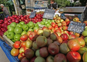 20 греческих компаний снова выйдут на российский рынок