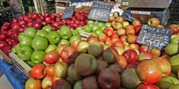 20 греческих компаний снова выйдут на российский рынок