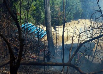 Φωτιά στη Βαρδαλή Φθιώτιδας 4