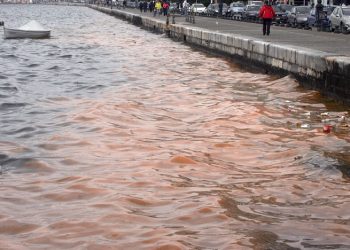 Άρχισε ο καθαρισμός του Θερμαϊκού