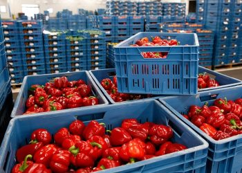 Επαρκείς ποσότητες τροφίμων και καυσίμων στην αγορά