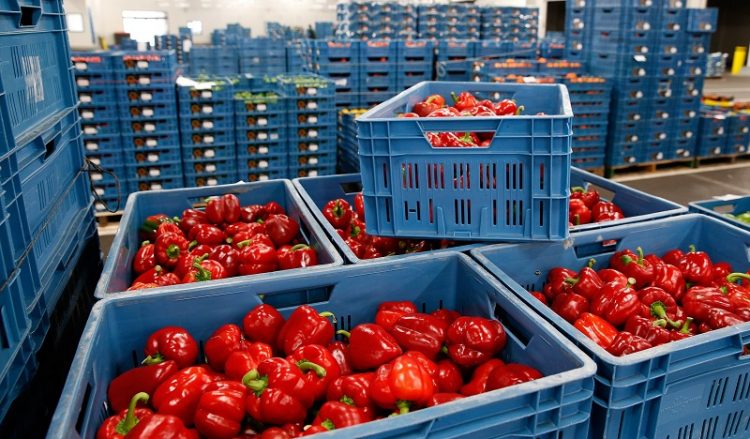 Επαρκείς ποσότητες τροφίμων και καυσίμων στην αγορά