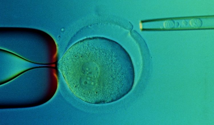 Ελληνίδα έχασε τη ζωή της στην Ιταλία κατά τη διάρκεια εξωσωματικής γονιμοποίησης