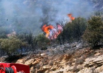 Υπό έλεγχο η φωτιά στο Γαλάτσι