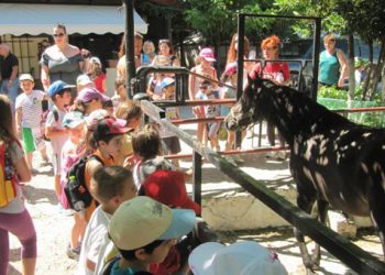 Εργαστήρια δημιουργικής απασχόλησης για παιδιά από την Εύξεινο Λέσχη Νάουσας