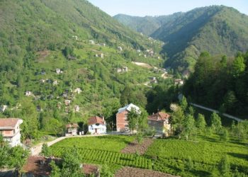 Στη Ριζούντα του Πόντου εξέγερση των ντόπιων!