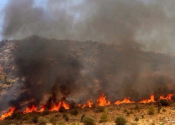 Σε εξέλιξη η φωτιά στη Χαλκιδική