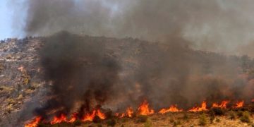 Σε εξέλιξη η φωτιά στη Χαλκιδική