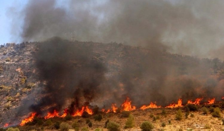 Σε εξέλιξη η φωτιά στη Χαλκιδική