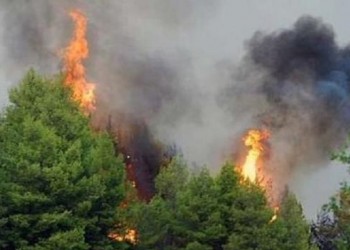 Η συνθήκη της Λοζάνης - Cover Image