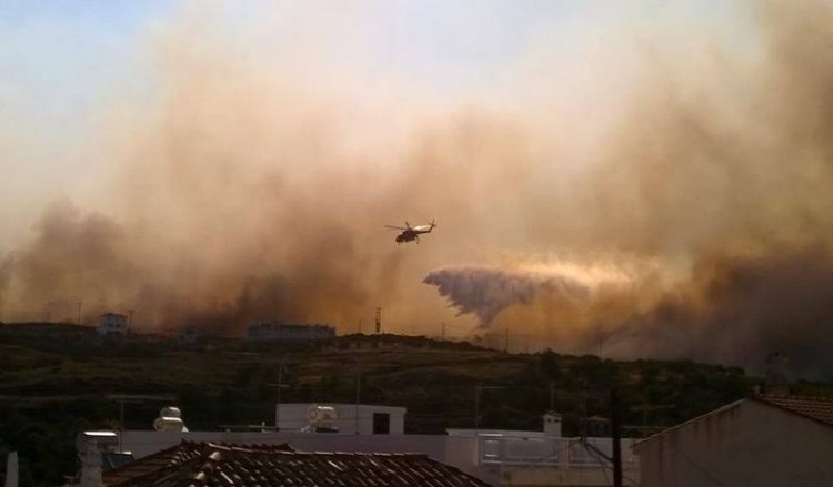 Αθλητικές Ακαδημίες ΟΠΑΠ: Οι κανόνες του γηπέδου και τα μέτρα για ασφαλή άσκηση (βίντεο, φωτο) - Media Gallery