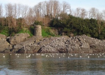 Амазонки и аргонавты вновь на древнем острове Аретиада вблизи понтийского Керасунда (видео-фото)