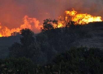 Φωτιά σε εξέλιξη στη Σαμοθράκη