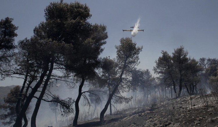 Υπό ελέγχο η φωτιά στη Σαμοθράκη