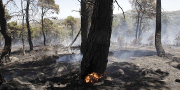 Μαίνεται η φωτιά στο Πόρτο Ράφτη