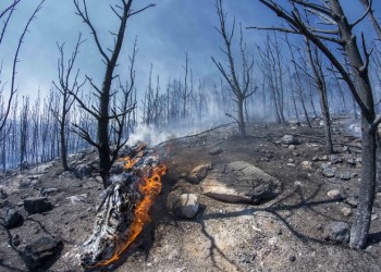 Ανακοίνωσε δύο συλλήψεις για την φωτιά στον Βύρωνα η Πυροσβεστική