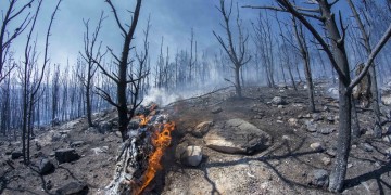 Ανακοίνωσε δύο συλλήψεις για την φωτιά στον Βύρωνα η Πυροσβεστική