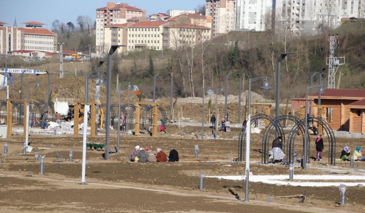 Βοτανικός Κήπος στα Κοτύωρα (φωτο)