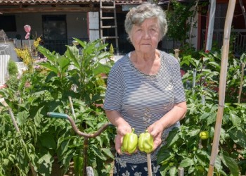 77χρονη φυτεύει λαχανικά και τα δίνει στο Κοινωνικό Παντοπωλείο