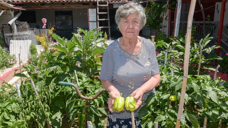 77χρονη φυτεύει λαχανικά και τα δίνει στο Κοινωνικό Παντοπωλείο