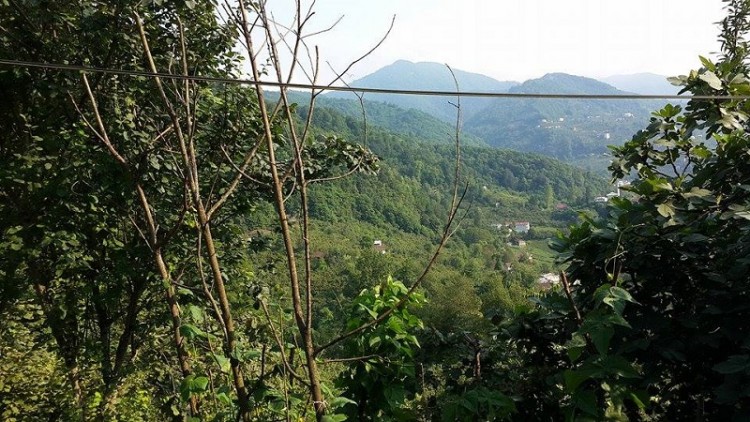 Το χωριό Λαζάντων Σουρμένων (φωτο-βίντεο)